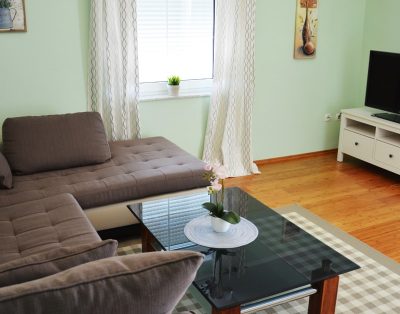 Vila Hodalj Lux Apartman Br.6 (2+2) 2.Kat