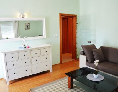 Vila Hodalj Lux Apartman Br.6 (2+2) 2.Kat